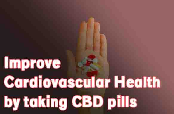 Improve cardiovascular health by taking CBD pills